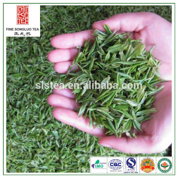 organic tea, Chinese organic tea, Songluo organic tea